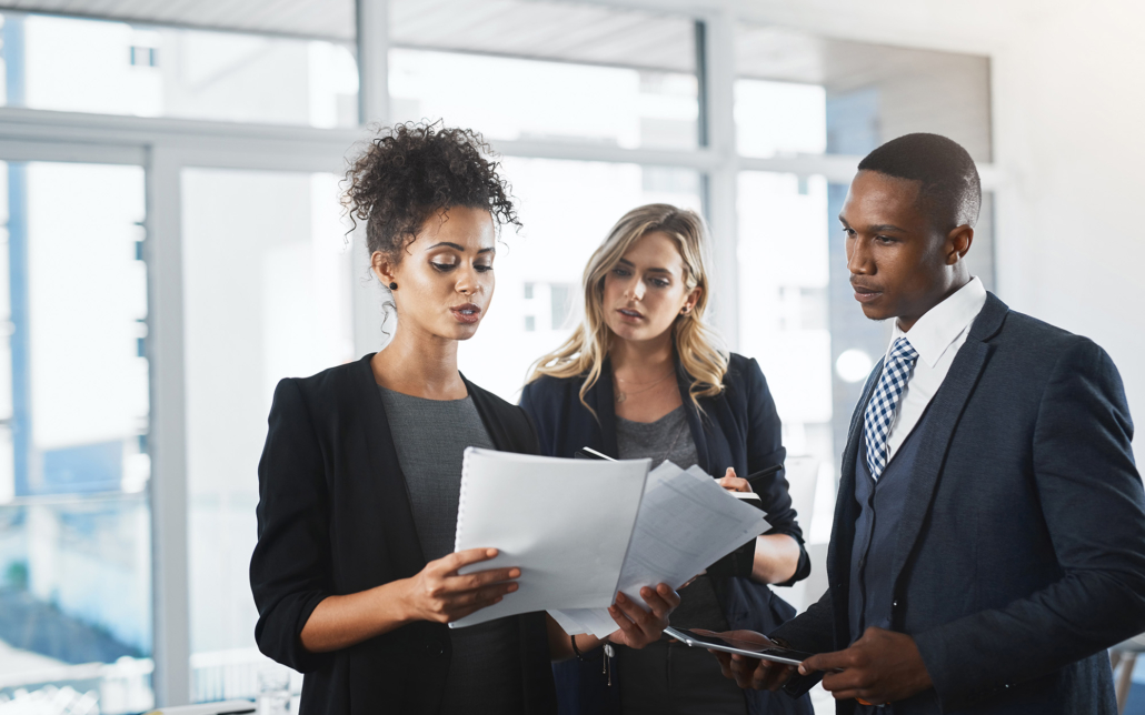 Professionals Looking At Documents